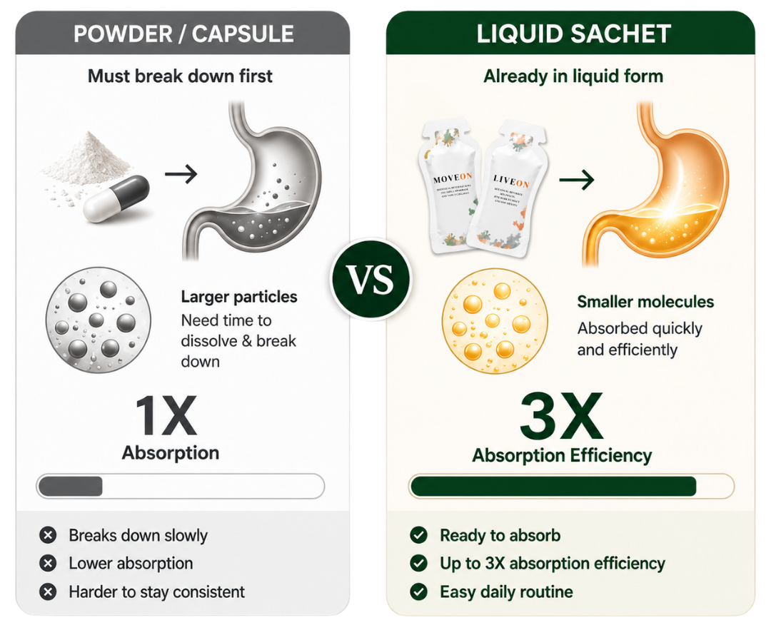 Powder or capsule versus liquid sachet absorption